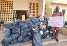 NDLEA Uncovers Hard Drugs Smuggled Through Modified Cartons