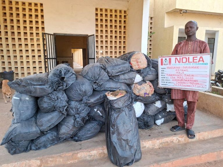 NDLEA Uncovers Hard Drugs Smuggled Through Modified Cartons