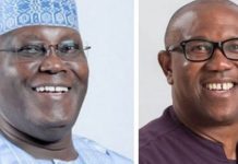 ‘The Most Foolish Thing’ APC Chieftain Exposes Atiku’s Plot With ADC, Calls Out Peter Obi