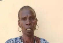 Troops Nab Suspected Female Terrorism Collaborator During Operation in Borno