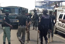 Police nab private chef over alleged N150m theft, drugging of employer, burglary
