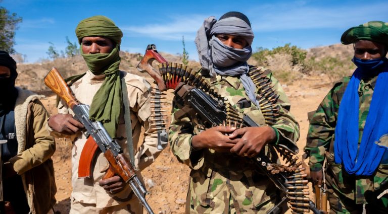 ‘Refer Nigeria to Security Council over abductions, killings,’ SERAP urges UN chief