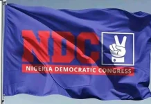 Everyone Will Get a Fair Chance in NDC Primaries — Party Spokesman