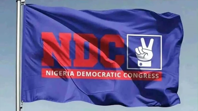Everyone Will Get a Fair Chance in NDC Primaries — Party Spokesman