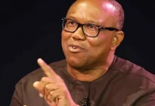 2027: Debate Grows Over Peter Obi’s Acceptance In North Despite Kwankwaso’s Support Network