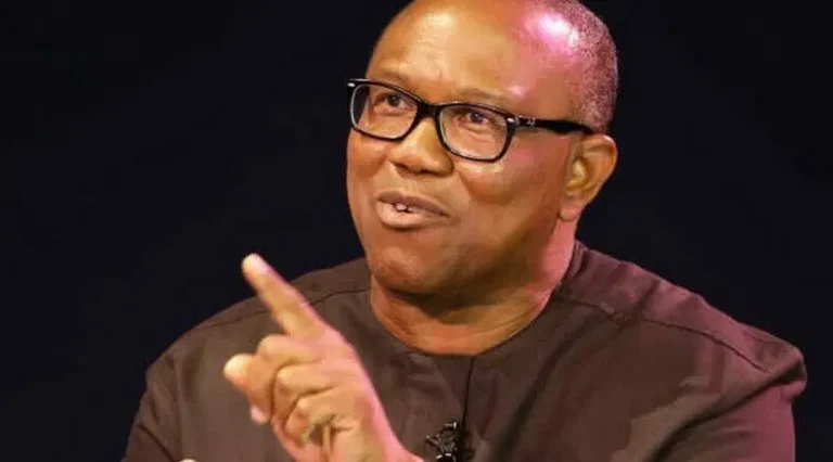 2027: Debate Grows Over Peter Obi’s Acceptance In North Despite Kwankwaso’s Support Network