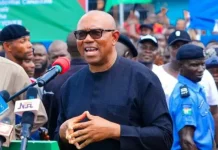 What Happened During My NDC Presidential Screening – Peter Obi Speaks