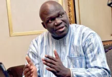 NDC population now over 10 million, mustn’t become ‘IDP camp’ – Abati cautions