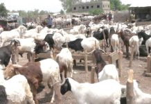Eid-el-Kabir: Prices of rams, other commodities skyrocket as Muslims prepare for celebrations