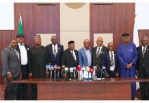 ‘Bring Development, Not Complaints’ – Wike Charges Professional Associations