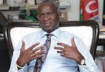 What Democracy Do Nigerians Truly Desire? Fashola Speaks Out