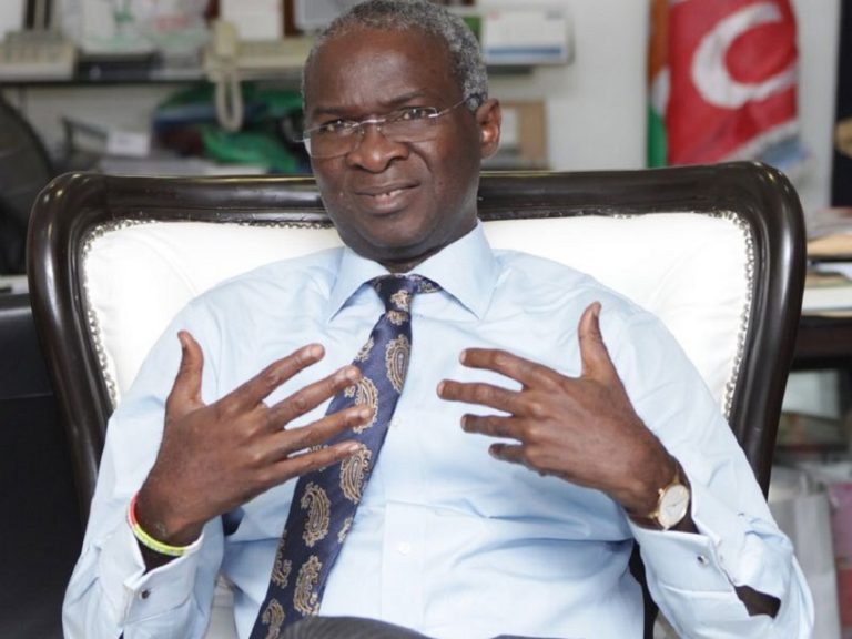 What Democracy Do Nigerians Truly Desire? Fashola Speaks Out
