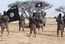 Boko Haram Launches New Attack, Kidnaps 7-Month-Old Baby and 12 Residents