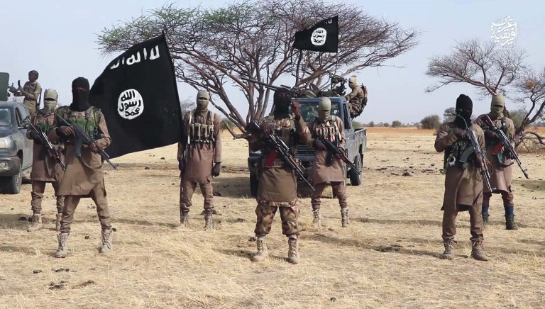 Boko Haram Launches New Attack, Kidnaps 7-Month-Old Baby and 12 Residents