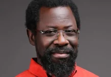 ‘Nigeria Has Only Had Performative Shadow Of Democracy’ – Farotimi