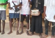Police Raid Leads to Arrest of 10 Suspected Thugs and Robbers in Minna