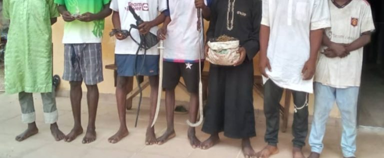 Police Raid Leads to Arrest of 10 Suspected Thugs and Robbers in Minna