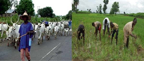 Eight Killed As Farmers And Herders Clash In Kebbi