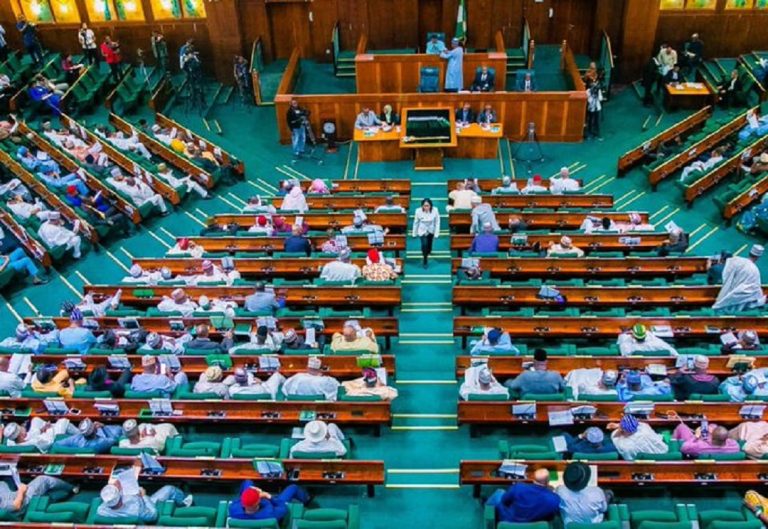 I Never Did That – Ugochinyere, Agbese Clash In House Of Reps Over Forgery Allegation