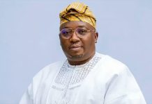 Panic as Gunmen Abduct Adelabu’s Sister, Twin Children