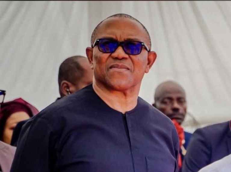 Attacks On Peter Obi Won’t Stick, Says Sam Amadi