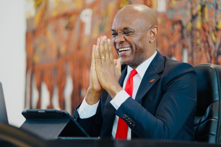 Tony Elumelu: ‘I became rich by luck, hard work’