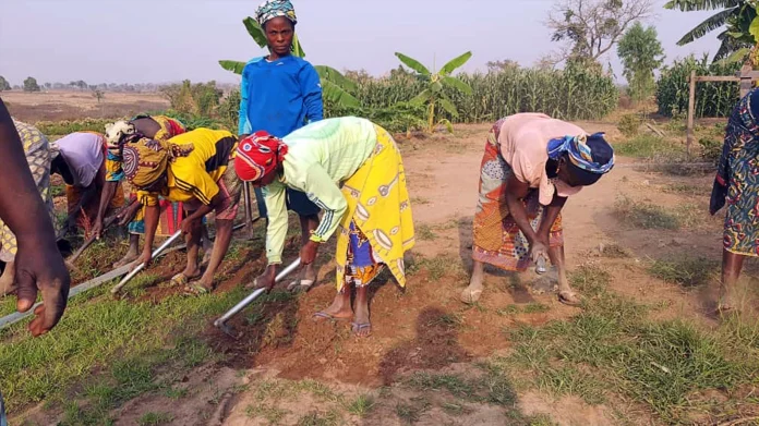 Women-farmers