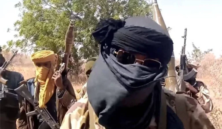 Terrorists Force Niger Communities to Provide Food Items and Supplies