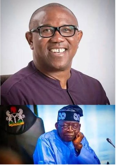 Presidency Replies Peter Obi Over Tinubu Resignation Demand, Says Former Governor Needs Schooling