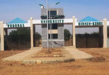 300-Level Kebbi Varsity Student Killed in Off-Campus Attack by Suspected Thieves